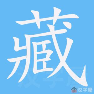 藏 meaning